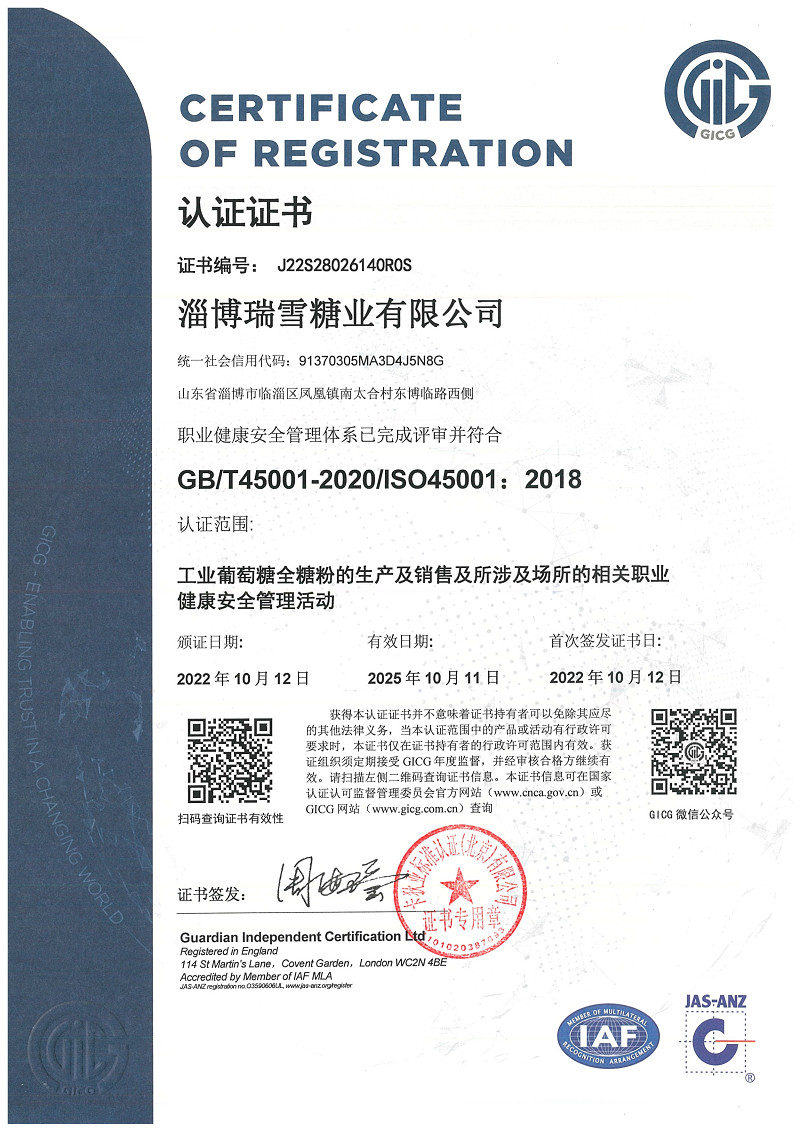 问鼎网页版入口登录职业健康体系认证_1+.jpg